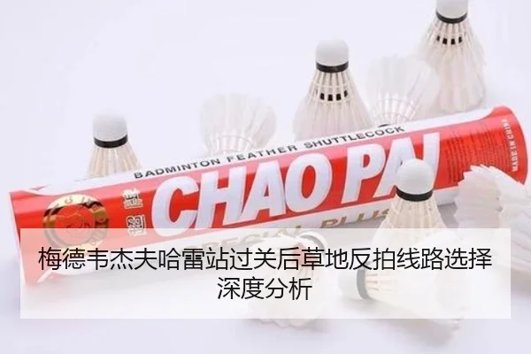梅德韦杰夫哈雷站过关后草地反拍线路选择深度分析